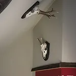 Gspusi Bar Hostel *